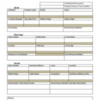 Genealogy Critical Document Record